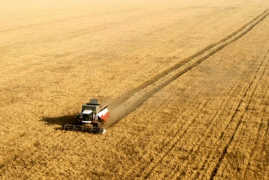 Vì sao Trung Quốc thu mua lương thực ở khắp mọi nơi?